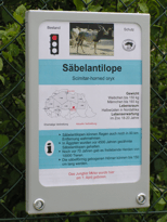 Beispiel 3